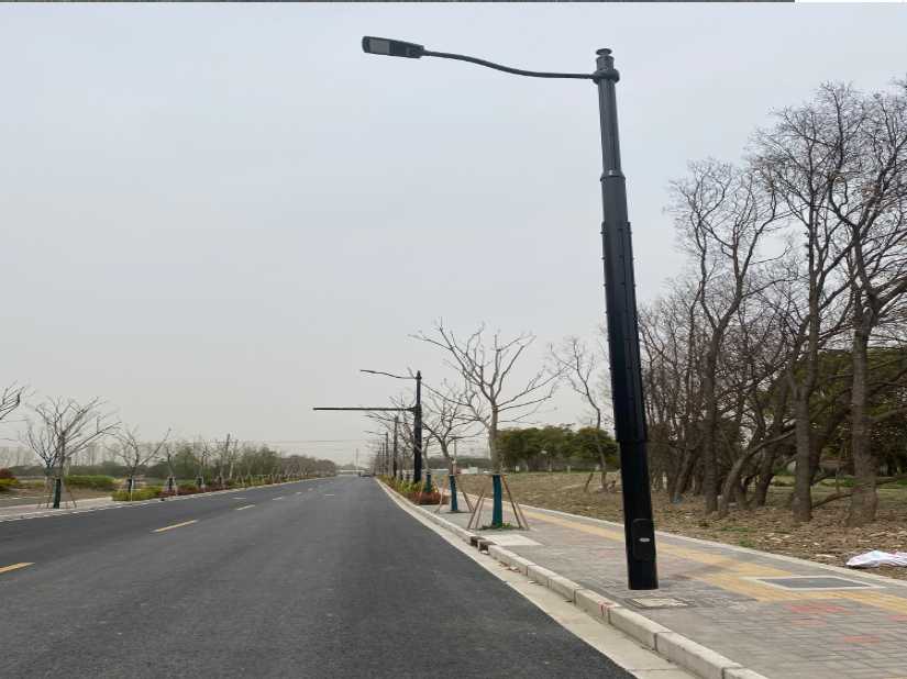 廊坊上海综合杆 太阳能路灯工程
